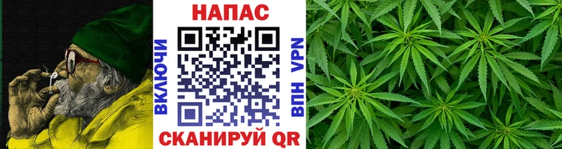 Бошки Шишки семена  Купить закладки  Гатчина 
